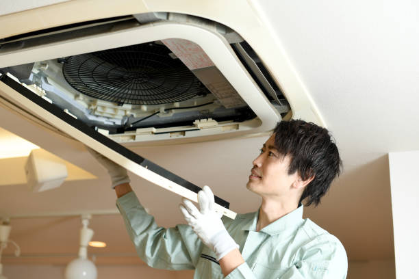 Air Duct Mold Removal in Irwindale, CA